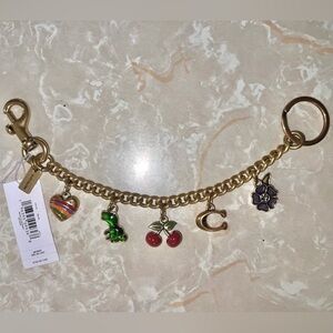Coach Gold Charm Strap with Colorful Charms